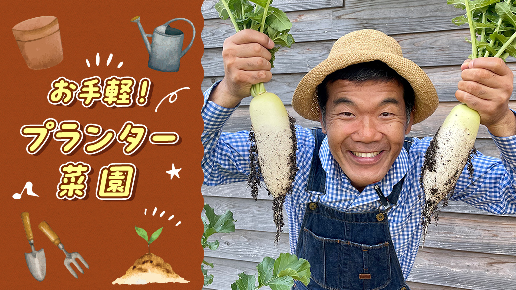 お手軽！プランター菜園