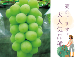 【売れてます！大人気品種】
