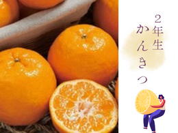 【2年生かんきつ】