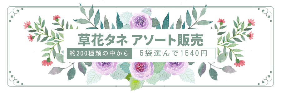 草花タネアソート販売