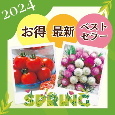 24年春の特集が大集合！最新＆おすすめ品種、ベストセラー品種、お得販売の品種をカテゴリ別に案内！