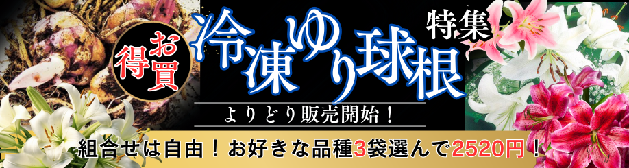 冷凍ゆりよりどり販売