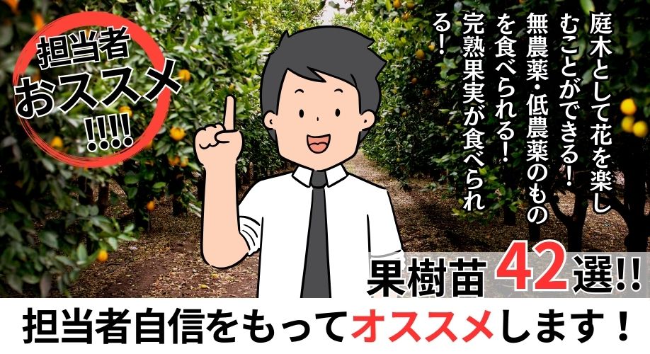 担当者がこの秋オススメ果樹苗