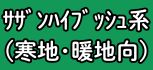 ブルーベリー【ｻｻﾞﾝﾊｲﾌﾞｯｼｭ系(寒地･暖地向)】