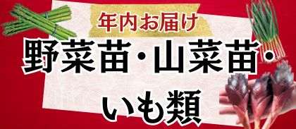 山菜苗・イモ類