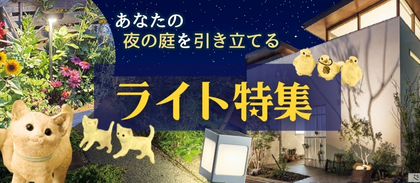 ライト特集