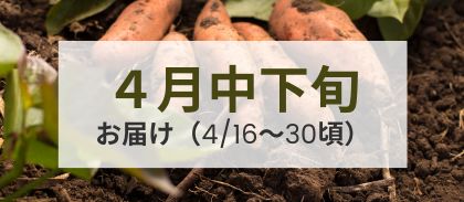 【4月中下旬（4/16～4/30頃）】