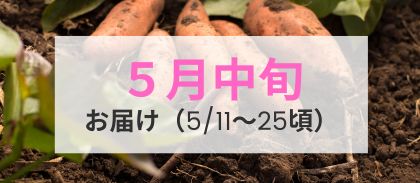 【5月中旬（5/11～5/25頃）】