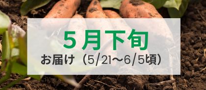 【5月下旬（5/21～6/5頃）】