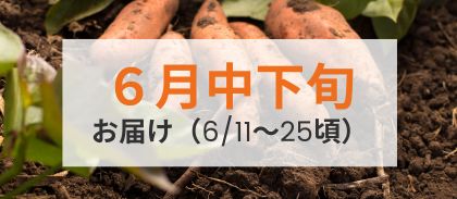 【6月中下旬（6/11～6/25頃）】