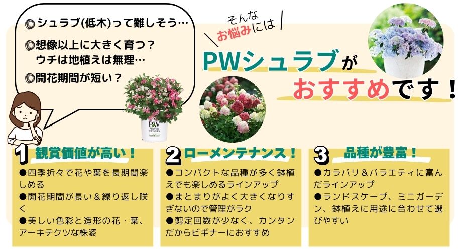 ■PW【シュラブ】