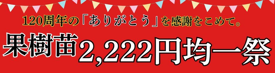 果樹2222均一