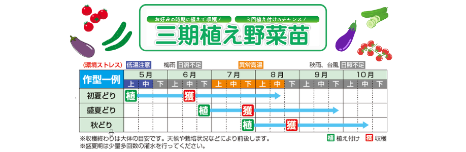 3期植え図