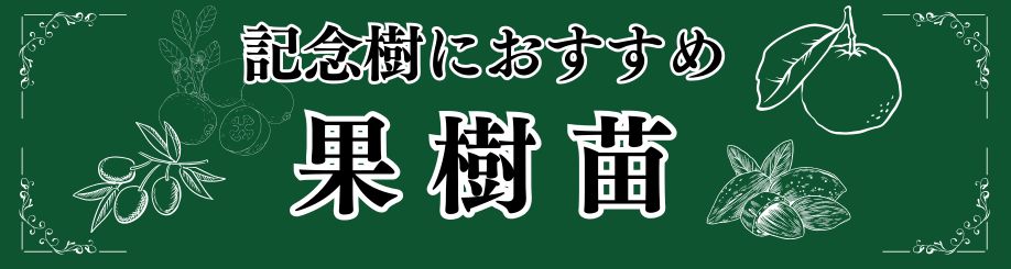 記念樹に向く果樹苗