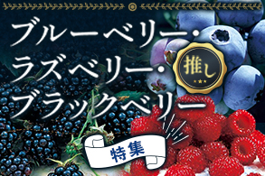 ブルーベリー育てよう