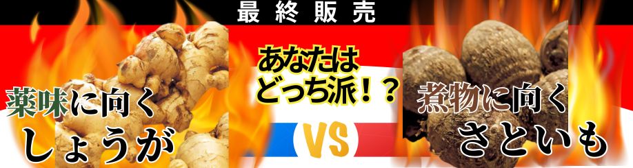 しょうがorさといも!!