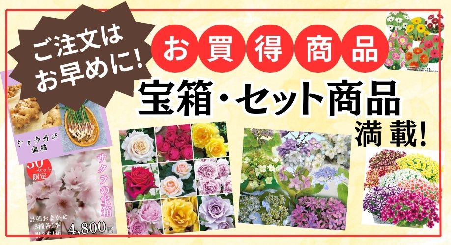 お買い得