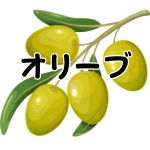【オリーブ】