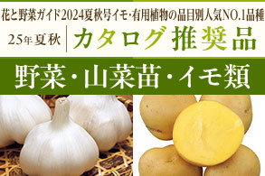 イモ･有用植物の品目別人気NO.1品種