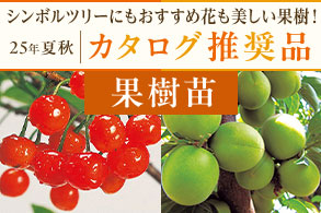 花も美しい果樹