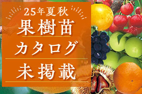 【果樹苗】
