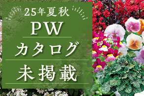 【PW】