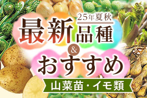 イモ類山菜類