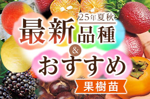 果樹
