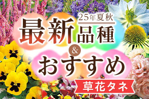 草花タネ