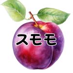 【スモモ】