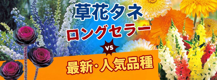 ロングセラーVS最新・人気品種