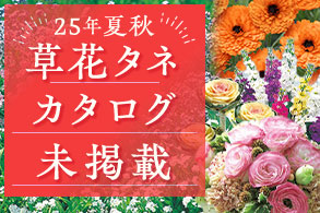 【草花タネ】