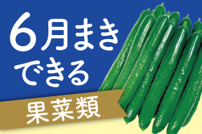 6月まきできる果菜類
