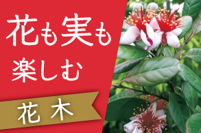 花も実も楽しむ