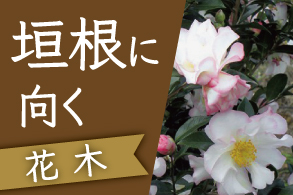 垣根に向く