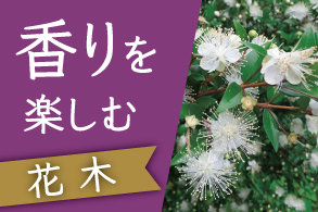 香り楽しむ