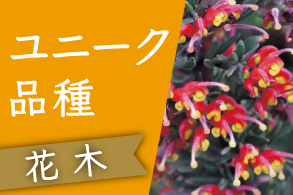 ユニーク