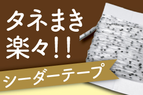 シーダーテープ
