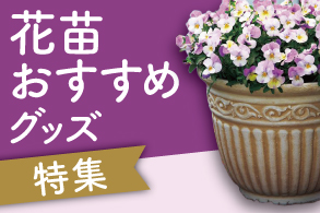 花苗おすすめグッズ