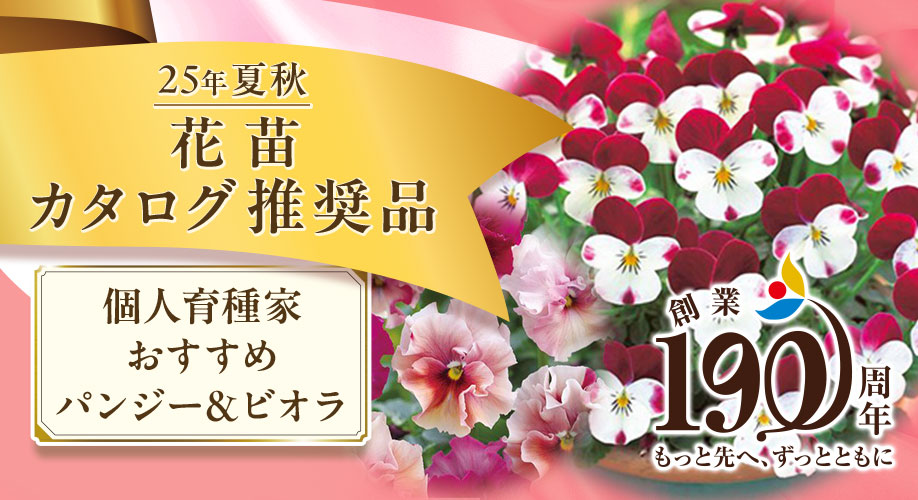 花苗
