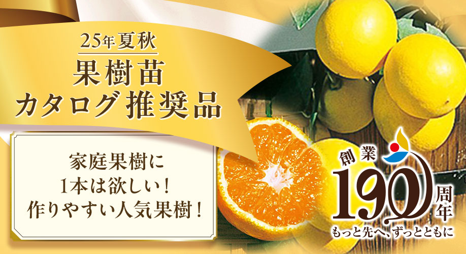 果樹1