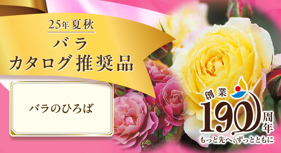 バラ