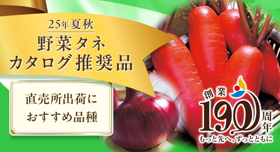 野菜2