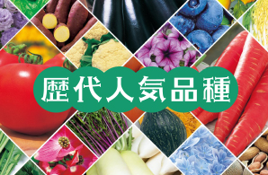 歴代人気