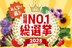 総選挙