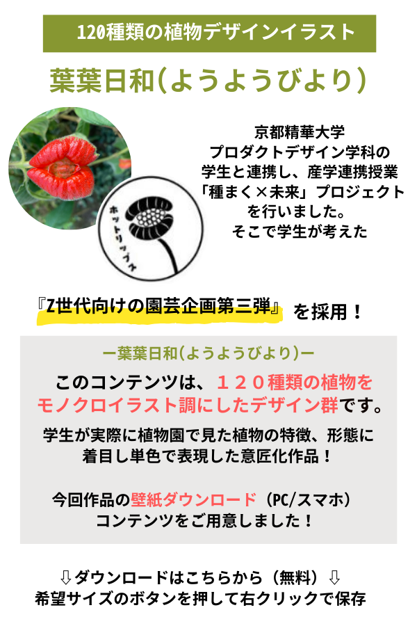 京都精華大