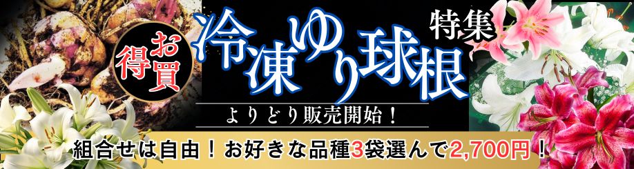 冷凍ゆりよりどり販売