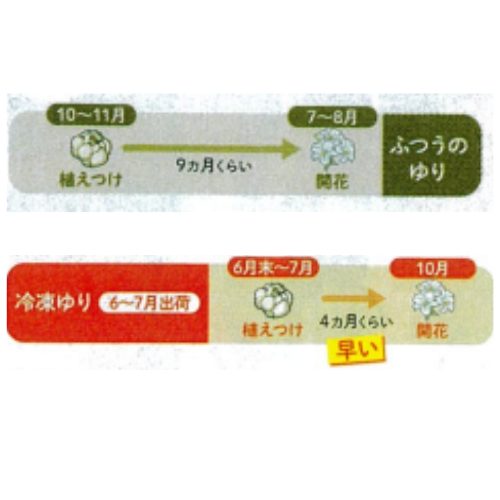 こんな人におすすめ