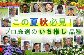 仕入先推し