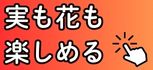 実も花も
